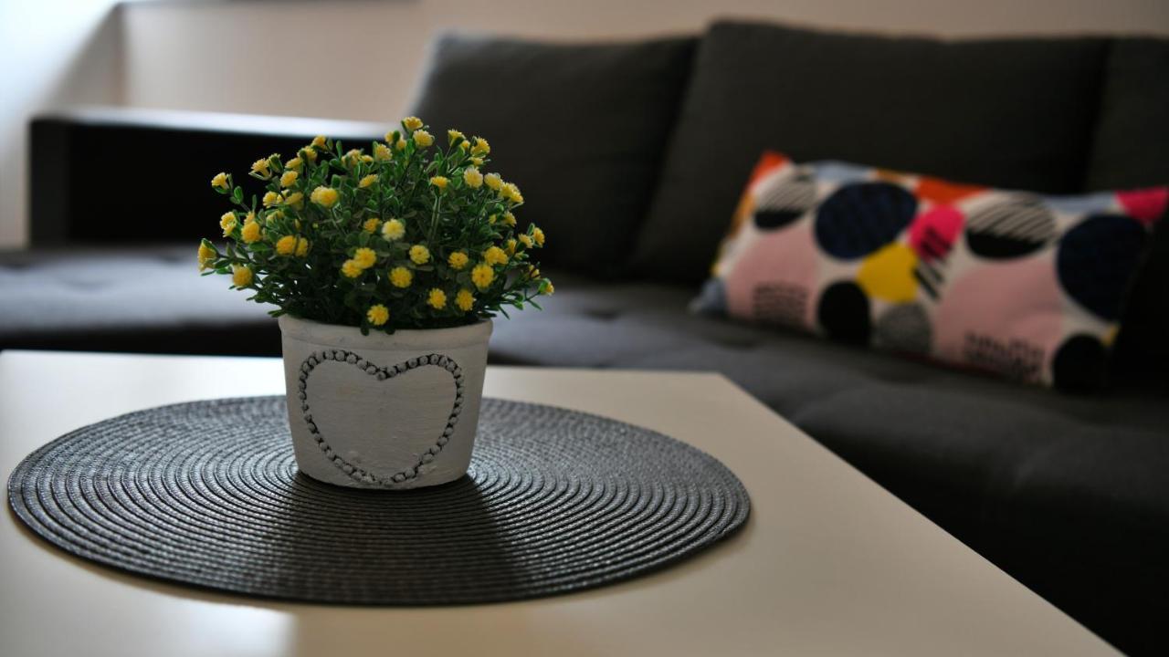 Apartman Mate Раковица Экстерьер фото